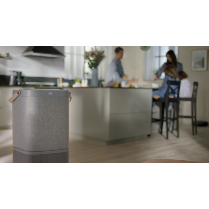 Electrolux - Air Purifier - EFDCAR4