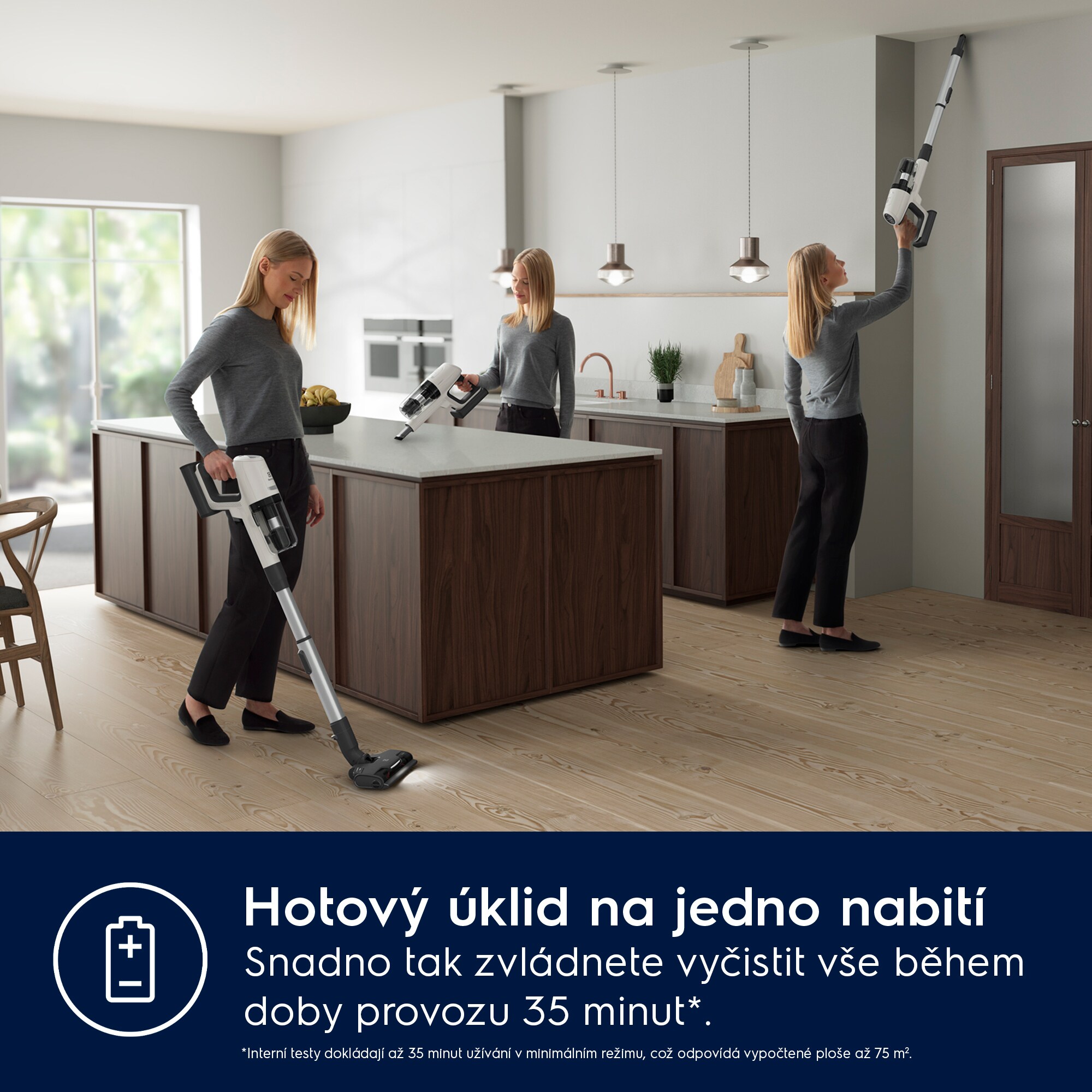 Electrolux - Tyčový vysavač - EP81HB25SH