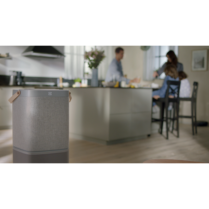 Electrolux - Air Purifier - EFDBTH4