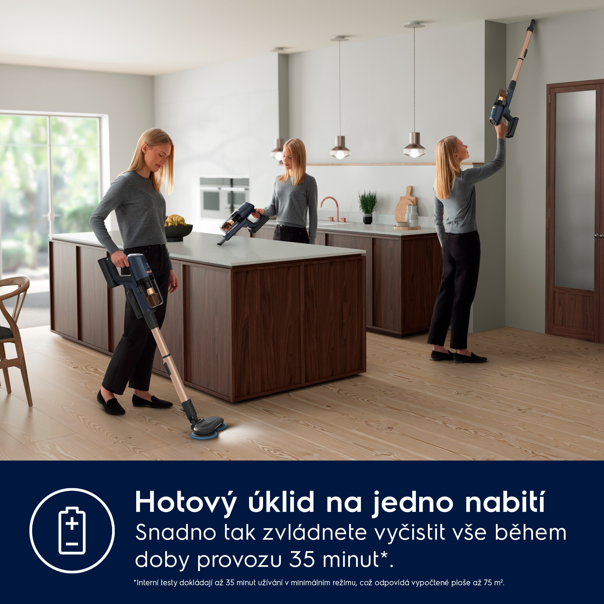 Electrolux - Tyčový vysavač - EP81B25WET