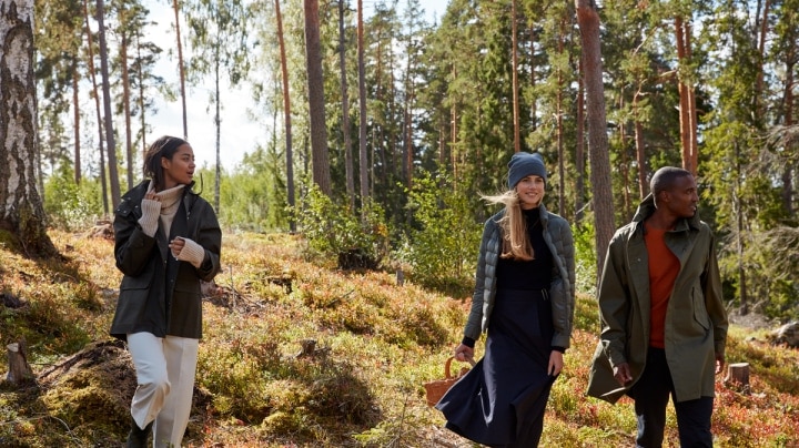 People walking in the woods 